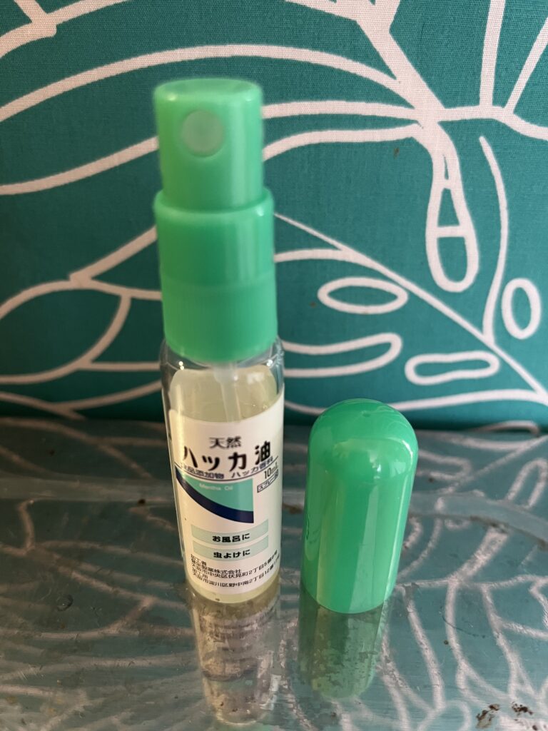 インフルエンザの予防にもなっているのかも🤗