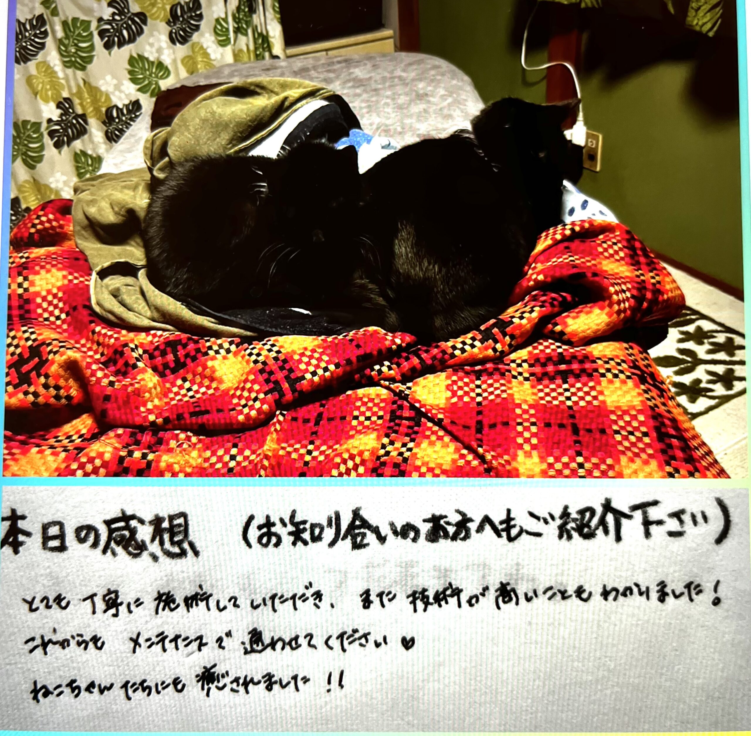 嬉しいご感想を頂きました📝