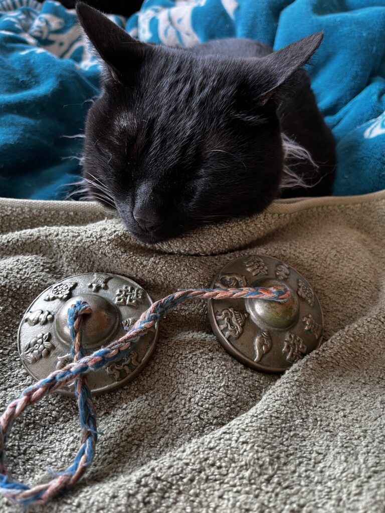 ティンシャで始まりティンシャで〆る🛎️