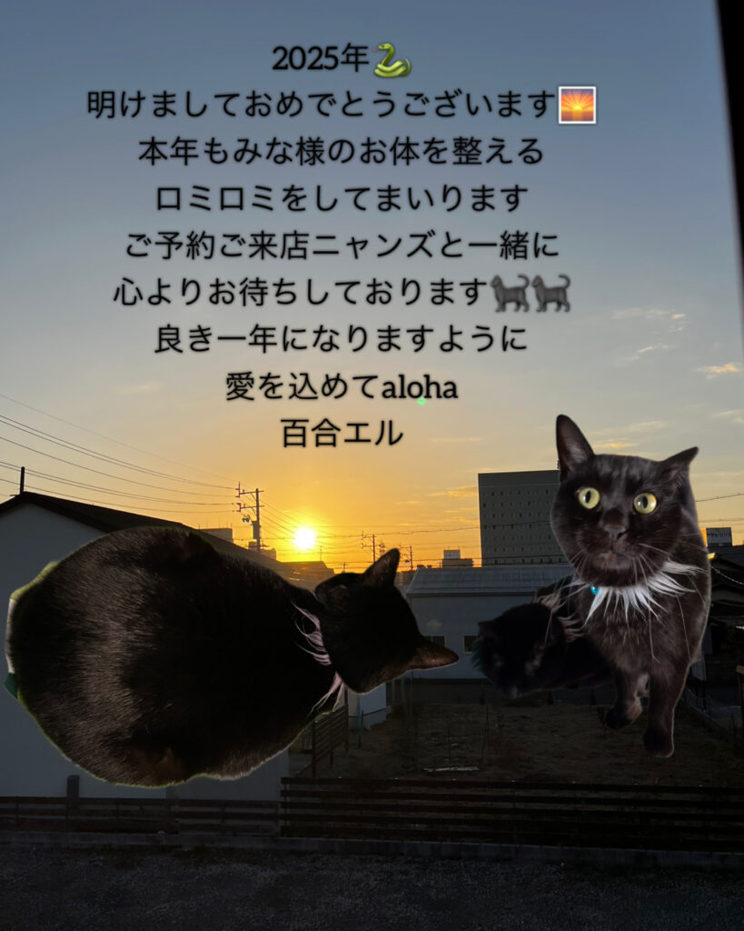 2025年🐍 明けましておめでとうございます