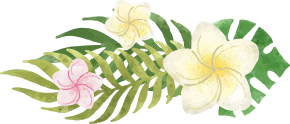 SNS・口コミ